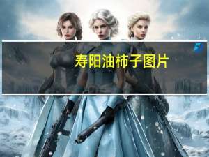 寿阳油柿子图片（油柿子）
