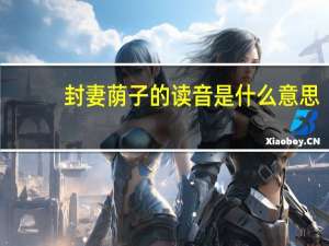 封妻荫子的读音是什么意思（封妻荫子怎么读）