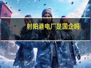 射阳港电厂是国企吗