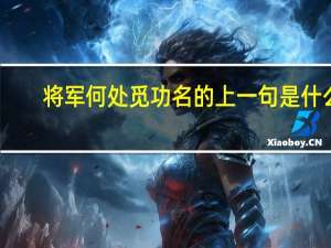 将军何处觅功名的上一句是什么