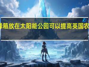 将蜂箱放在太阳能公园可以提高英国农业的价值