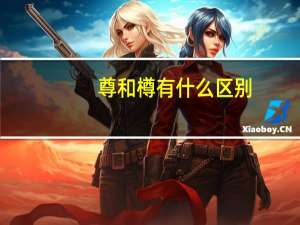 尊和樽有什么区别
