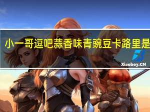 小一哥 逗吧蒜香味青豌豆卡路里是多少