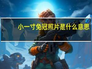 小一寸免冠照片是什么意思