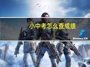 小中考怎么查成绩