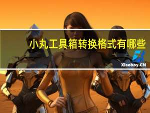 小丸工具箱转换格式有哪些（小丸工具箱转换格式）