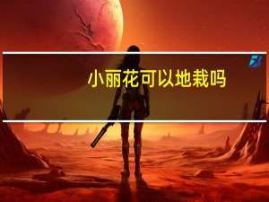 小丽花可以地栽吗