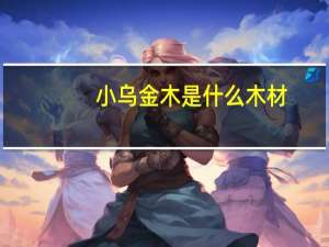 小乌金木是什么木材