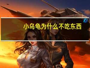小乌龟为什么不吃东西