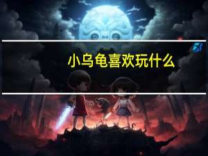 小乌龟喜欢玩什么