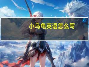小乌龟英语怎么写