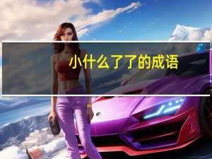 小什么了了的成语
