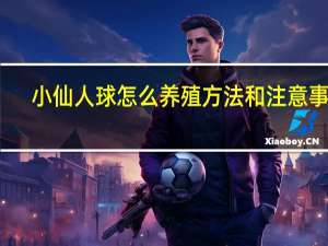 小仙人球怎么养殖方法和注意事项