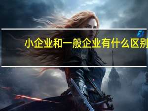小企业和一般企业有什么区别
