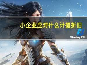 小企业应对什么计提折旧