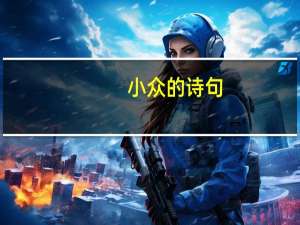 小众的诗句