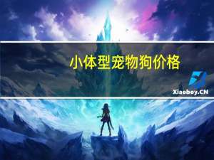小体型宠物狗价格