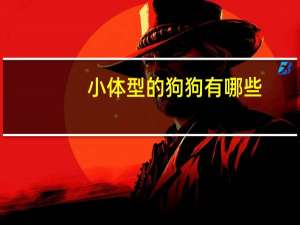 小体型的狗狗有哪些