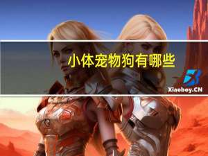 小体宠物狗有哪些