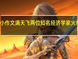 小作文满天飞 两位知名经济学家火线打假