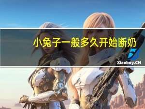 小兔子一般多久开始断奶