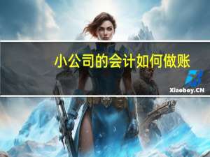 小公司的会计如何做账