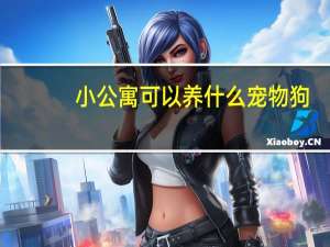 小公寓可以养什么宠物狗