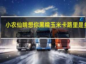 小农仙 啃想你黑糯玉米卡路里是多少