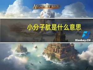 小分子肽是什么意思