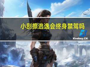 小刮擦逃逸会终身禁驾吗