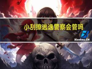 小刮擦逃逸警察会管吗