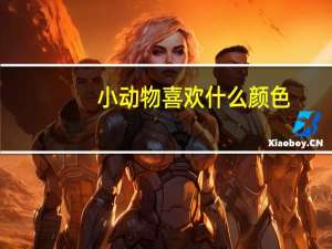 小动物喜欢什么颜色