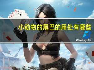 小动物的尾巴的用处有哪些