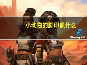 小动物的脚印像什么
