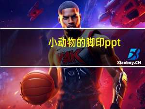 小动物的脚印ppt