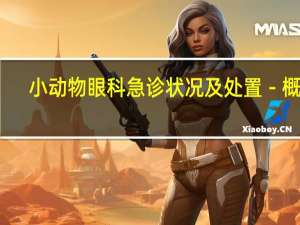 小动物眼科急诊状况及处置－概述