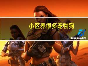 小区养很多宠物狗