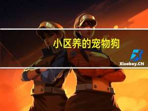 小区养的宠物狗
