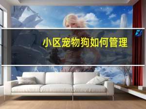 小区宠物狗如何管理