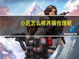 小区怎么样养猫合理呢