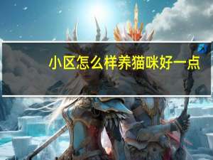 小区怎么样养猫咪好一点