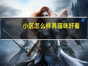 小区怎么样养猫咪好看