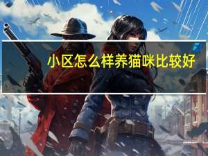 小区怎么样养猫咪比较好