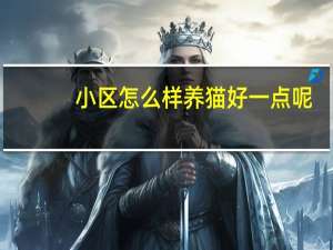 小区怎么样养猫好一点呢