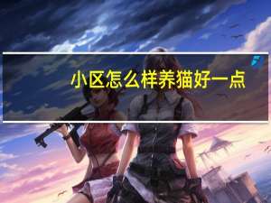 小区怎么样养猫好一点