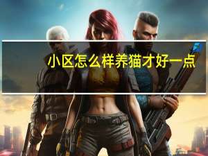 小区怎么样养猫才好一点