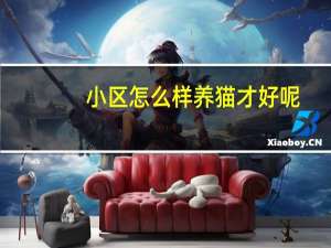 小区怎么样养猫才好呢