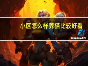 小区怎么样养猫比较好看