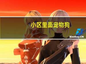 小区里面宠物狗