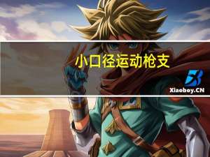 小口径运动枪支（小口径运动枪）
